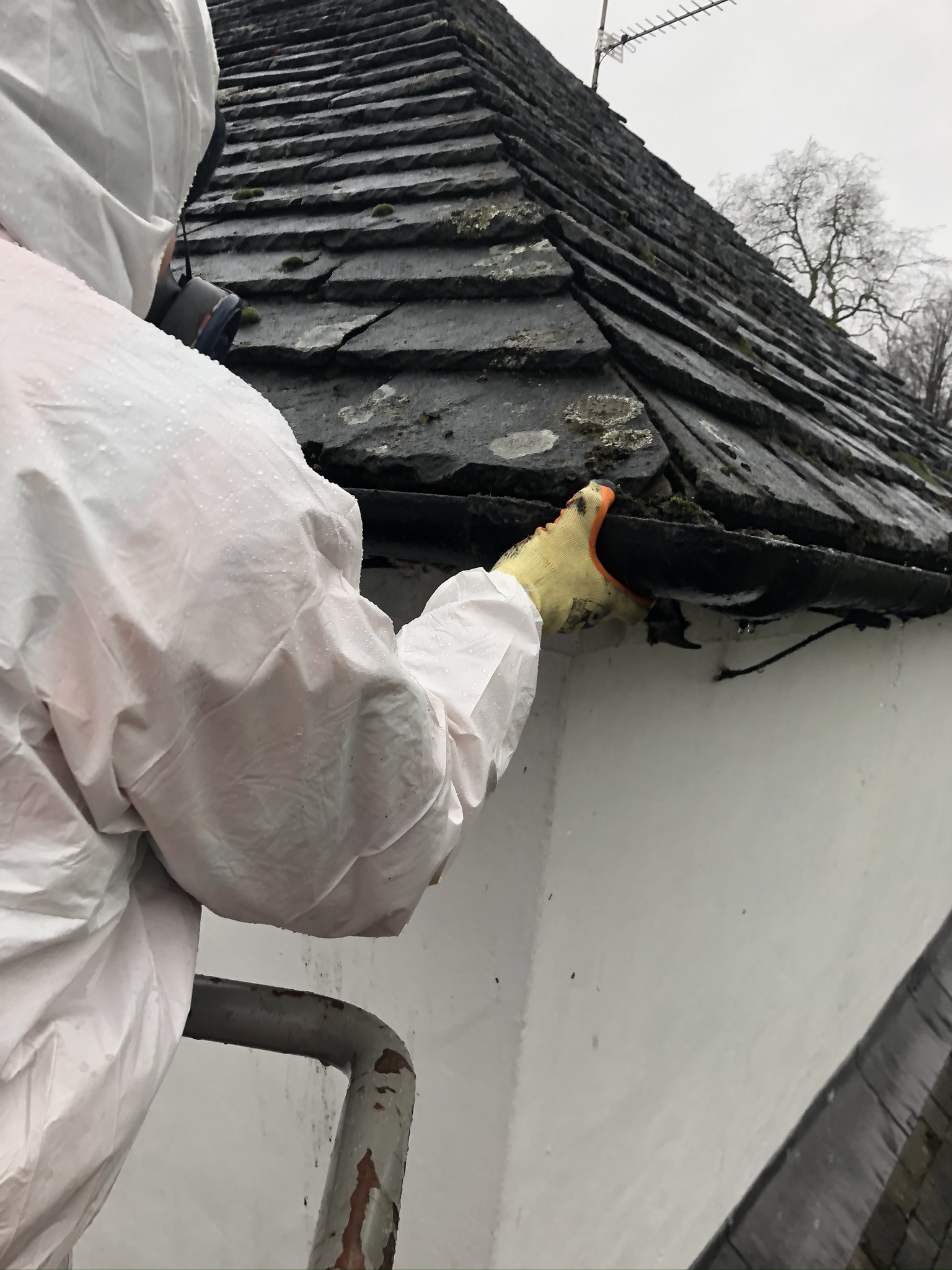 Asbestos Removals